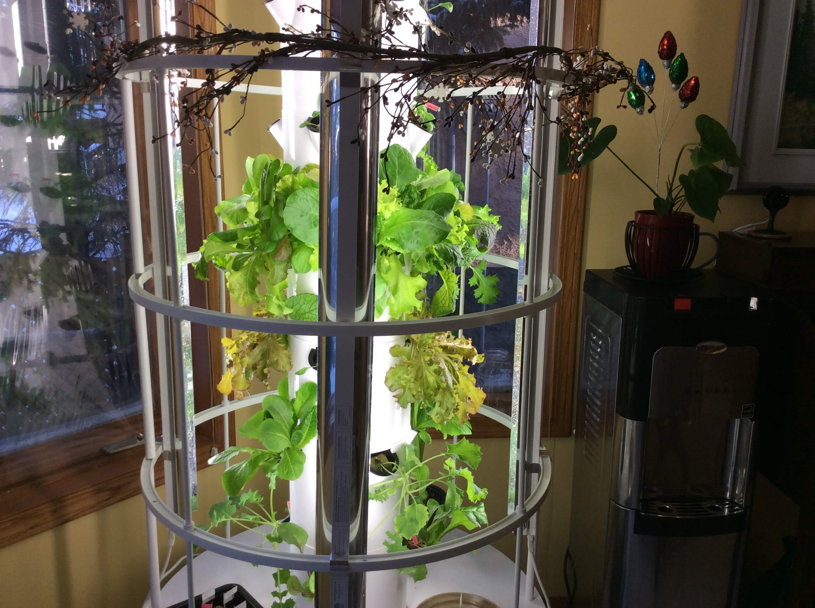 tower garden dec 2017