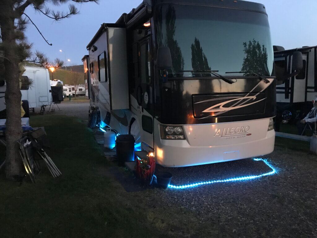 RV mouse lights